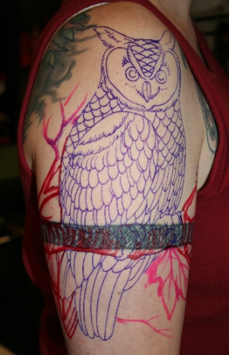 traditional owl tattoo. were getting owl tattoos,